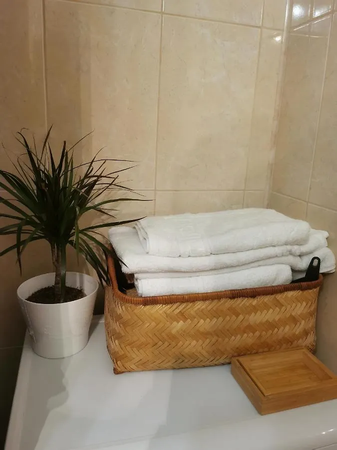 Bertigart Studio Apartment Bucureşti